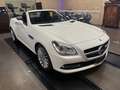Mercedes-Benz SLK 200 SLK Roadster - R172 (cgi be) Sport Bianco - thumbnail 2