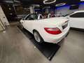 Mercedes-Benz SLK 200 SLK Roadster - R172 (cgi be) Sport Bianco - thumbnail 7