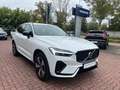 Volvo XC60 T6 Plug-in Hybrid AWD Plus Dark Auto Weiß - thumbnail 12