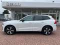 Volvo XC60 T6 Plug-in Hybrid AWD Plus Dark Auto Weiß - thumbnail 1