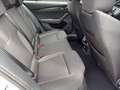 Skoda Octavia 2.0 TDI DPF Ambition 4x4 Silber - thumbnail 13