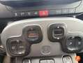 Fiat Panda City Life Hybrid 1.0 Gse 51kw (70CV) Blanc - thumbnail 24