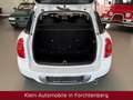MINI Cooper D Countryman All4 Pepper Klimatronic SHZ Weiß - thumbnail 13
