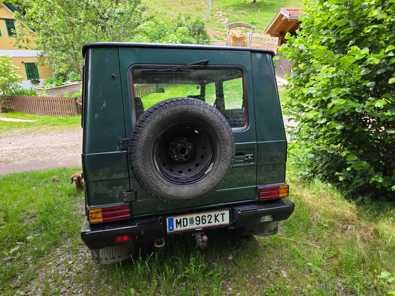 Mercedes-Benz G 350 GDA, foto 5