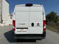 Fiat Ducato 130 L4H2 RS: 4035 mm Weiß - thumbnail 7
