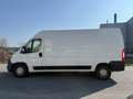 Fiat Ducato 130 L4H2 RS: 4035 mm Weiß - thumbnail 9