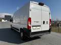 Fiat Ducato 130 L4H2 RS: 4035 mm Weiß - thumbnail 8