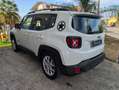 Jeep Renegade Renegade 2019 1.0 t3 Limited 2wd Bianco - thumbnail 14
