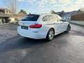 BMW 525 525d xDrive*1.Hand*VOLL*PANO*TÜV&ServiceNEU Blanc - thumbnail 5