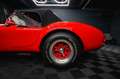 AC KCC Cobra Ford 302 V8 5.0 Autom. H-Zulassung Rouge - thumbnail 27