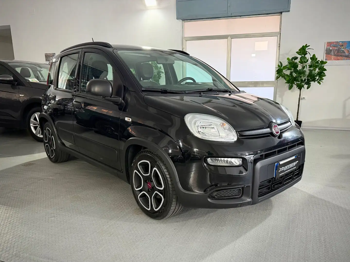 Fiat Panda 1.0 FireFly S&S Hybrid City Life Noir - 1