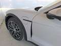 Porsche Taycan 4 Cross Turismo Grau - thumbnail 15