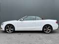 Audi A5 Cabriolet BWJ 2015 1.8 TFSI 170 PK AUTOMAAT | NW A Wit - thumbnail 19
