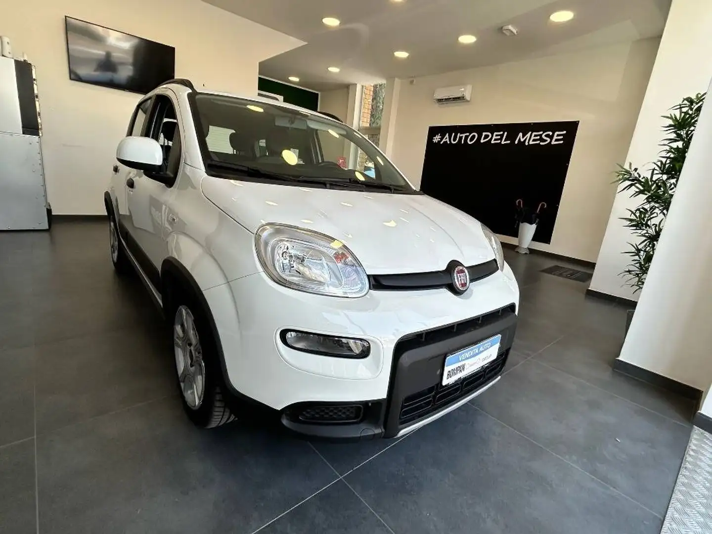 Fiat Panda 1.0 firefly hybrid s&s 70cv Blanc - 2