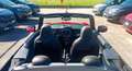 MINI Cooper Cabrio Mini IV Cabrio F57 2021 1.5 JCW Rosso - thumbnail 6