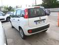 Fiat Panda Panda 1.2 MyLife 69cv Weiß - thumbnail 5