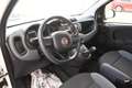 Fiat Panda Panda 1.2 MyLife 69cv Weiß - thumbnail 13