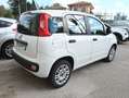 Fiat Panda Panda 1.2 MyLife 69cv Weiß - thumbnail 4