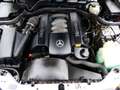 Mercedes-Benz E 240 Combi 6-Cilinder 170pk Youngtimer Aut. Clima Leder Grau - thumbnail 21