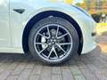 Tesla Model 3 Standard rwd Plus Bianco - thumbnail 8