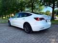Tesla Model 3 Standard rwd Plus Bianco - thumbnail 5