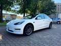 Tesla Model 3 Standard rwd Plus Bianco - thumbnail 1