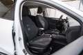 Ford Focus 1.0 Ecoboost MHEV Active 155 Blanco - thumbnail 15