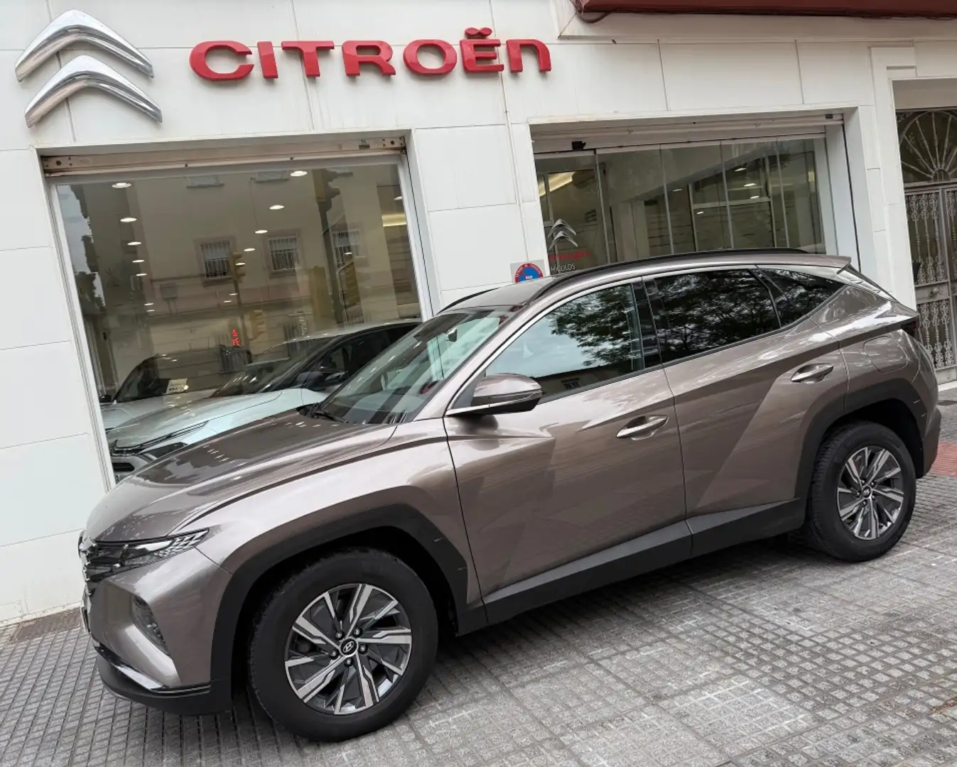 Hyundai TUCSON 1.6 TGDI 48V Maxx 4x2 Beige - 2