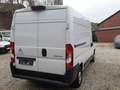 Citroen Jumper Großraumkasten L2H2 Navi/ Line Assist Blanc - thumbnail 16