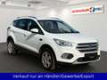 Ford Kuga 1.5 Cool & Connect Navi Weiß - thumbnail 3