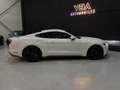 Ford Mustang (6) Fastback EcoBoost BVA6 EcoBoost Blanc - thumbnail 8