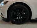 Ford Mustang (6) Fastback EcoBoost BVA6 EcoBoost Blanc - thumbnail 40