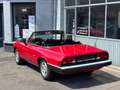 Alfa Romeo Spider 2.0  Aerodinamica Oldtimer✅ 53.000kms !! ✅ Rood - thumbnail 5