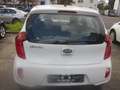 Kia Picanto Picanto  5-Türer 1.0 Vision Blanc - thumbnail 3