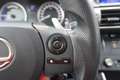 Lexus IS 200 IS 2,5 300h Executive Line LED DAB Navi Kamera Grau - thumbnail 18