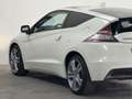 Honda CR-Z CR-Z 1.5 GT 126.100 KM NEOPATENTATI PELLE TETTO Weiß - thumbnail 25