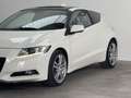 Honda CR-Z CR-Z 1.5 GT 126.100 KM NEOPATENTATI PELLE TETTO Weiß - thumbnail 16