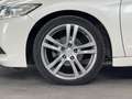 Honda CR-Z CR-Z 1.5 GT 126.100 KM NEOPATENTATI PELLE TETTO Weiß - thumbnail 17