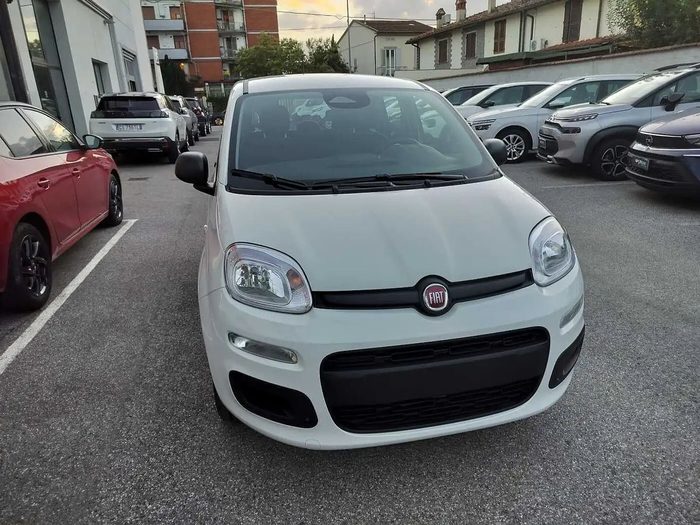 Fiat Panda 3ª serie 1.0 FireFly S&S Hybrid Icon **KM0** Bianco - 1