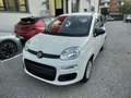 Fiat Panda 3ª serie 1.0 FireFly S&S Hybrid Icon **KM0** Bianco - thumbnail 2