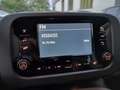 Fiat Panda 3ª serie 1.0 FireFly S&S Hybrid Icon **KM0** Bianco - thumbnail 13