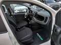 Fiat Panda 3ª serie 1.0 FireFly S&S Hybrid Icon **KM0** Bianco - thumbnail 9