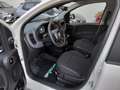 Fiat Panda 3ª serie 1.0 FireFly S&S Hybrid Icon **KM0** Bianco - thumbnail 5