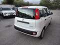 Fiat Panda 3ª serie 1.0 FireFly S&S Hybrid Icon **KM0** Bianco - thumbnail 4