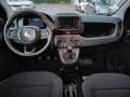 Fiat Panda 3ª serie 1.0 FireFly S&S Hybrid Icon **KM0** Bianco - thumbnail 11