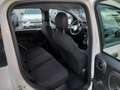 Fiat Panda 3ª serie 1.0 FireFly S&S Hybrid Icon **KM0** Bianco - thumbnail 8