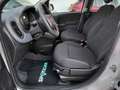 Fiat Panda 3ª serie 1.0 FireFly S&S Hybrid Icon **KM0** Bianco - thumbnail 6
