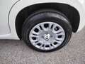 Fiat Panda 3ª serie 1.0 FireFly S&S Hybrid Icon **KM0** Bianco - thumbnail 15
