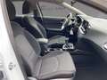 Kia Ceed / cee'd Vision 1.0T VIS Kamera SitzHzg. CarPlay Blanc - thumbnail 10