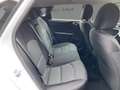 Kia Ceed / cee'd Vision 1.0T VIS Kamera SitzHzg. CarPlay Blanc - thumbnail 11